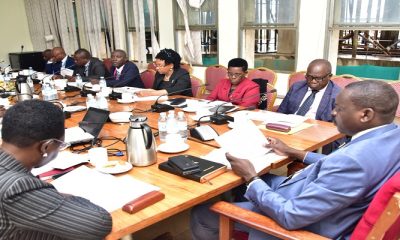 The Committee of Public Service and Local Government in session.